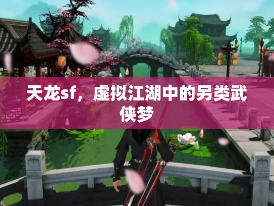天龙sf，虚拟江湖中的另类武侠梦