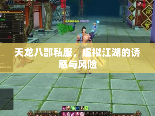 天龙八部私服，虚拟江湖的诱惑与风险