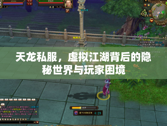 天龙私服，虚拟江湖背后的隐秘世界与玩家困境