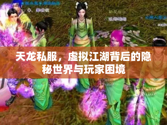 天龙私服，虚拟江湖背后的隐秘世界与玩家困境