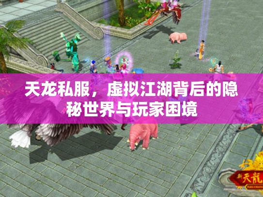 天龙私服，虚拟江湖背后的隐秘世界与玩家困境