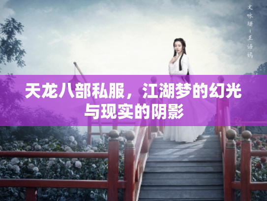 天龙八部私服，江湖梦的幻光与现实的阴影