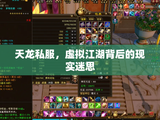 天龙私服，虚拟江湖背后的现实迷思