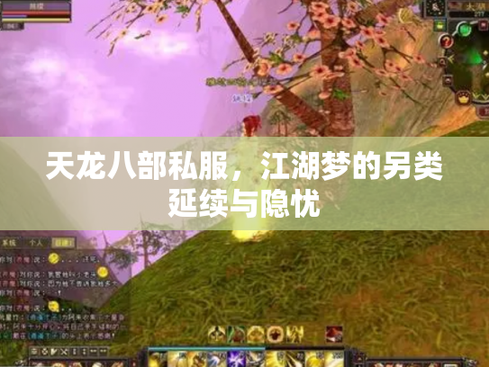 天龙八部私服，江湖梦的另类延续与隐忧