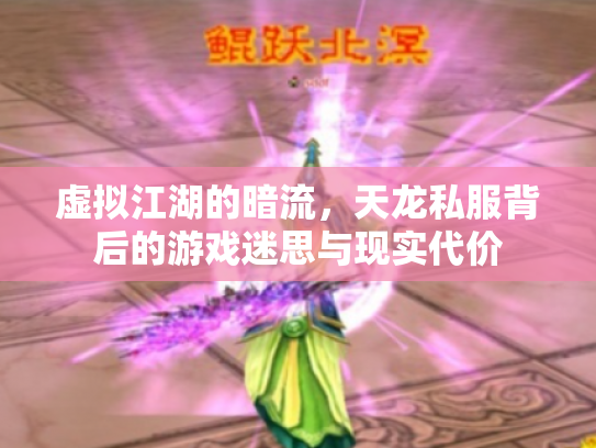 虚拟江湖的暗流，天龙私服背后的游戏迷思与现实代价