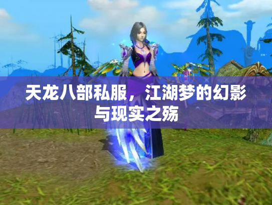 天龙八部私服，江湖梦的幻影与现实之殇