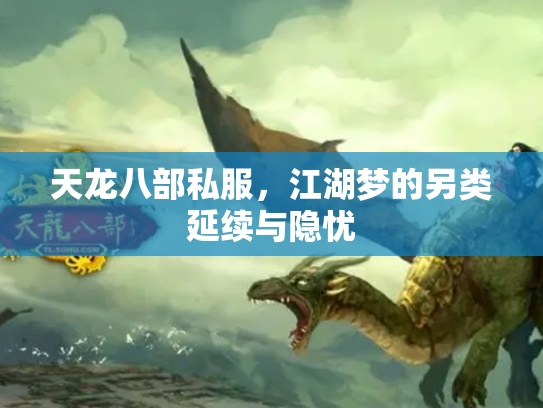 天龙八部私服，江湖梦的另类延续与隐忧