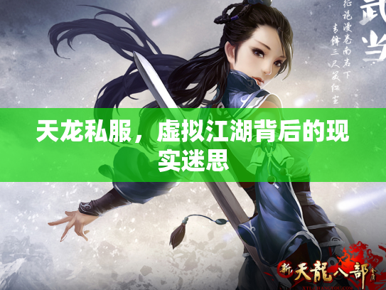 天龙私服，虚拟江湖背后的现实迷思