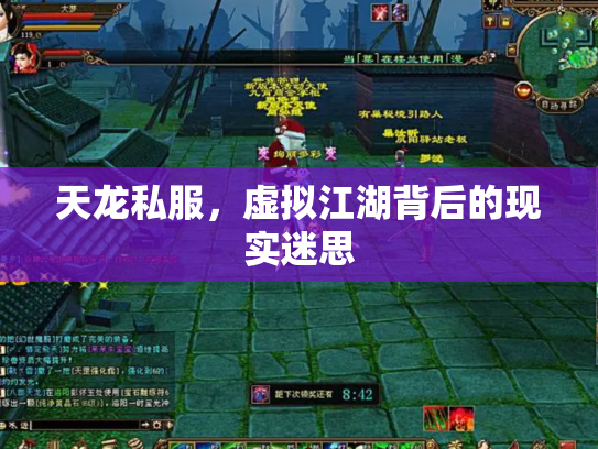 天龙私服，虚拟江湖背后的现实迷思