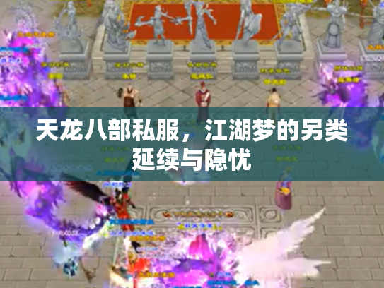 天龙八部私服，江湖梦的另类延续与隐忧