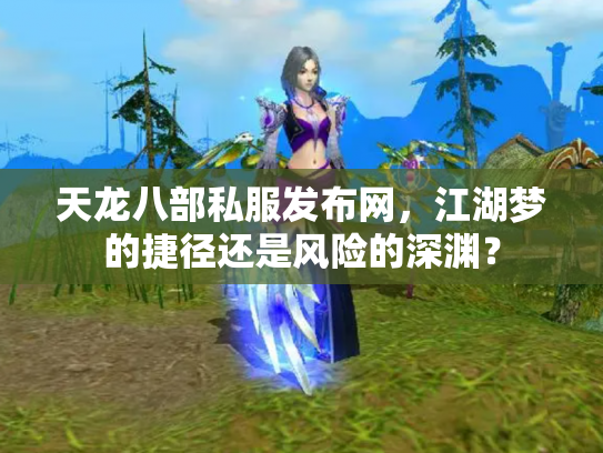 天龙八部私服发布网，江湖梦的捷径还是风险的深渊？