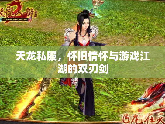 天龙私服，怀旧情怀与游戏江湖的双刃剑