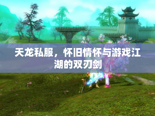 天龙私服，怀旧情怀与游戏江湖的双刃剑