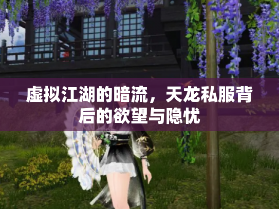 虚拟江湖的暗流，天龙私服背后的欲望与隐忧