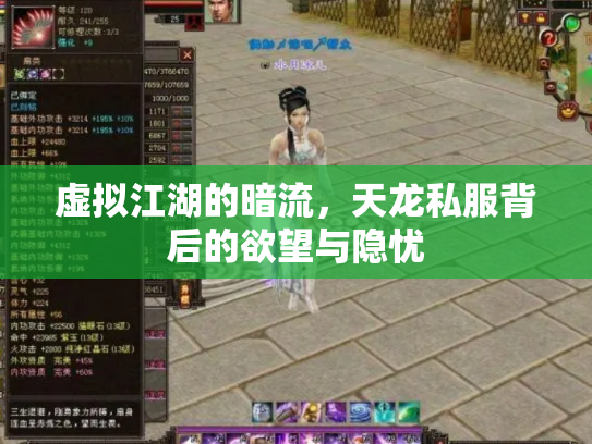 虚拟江湖的暗流，天龙私服背后的欲望与隐忧