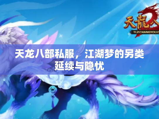 天龙八部私服，江湖梦的另类延续与隐忧