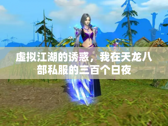 虚拟江湖的诱惑，我在天龙八部私服的三百个日夜