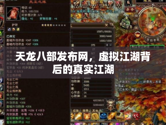 天龙八部发布网，虚拟江湖背后的真实江湖