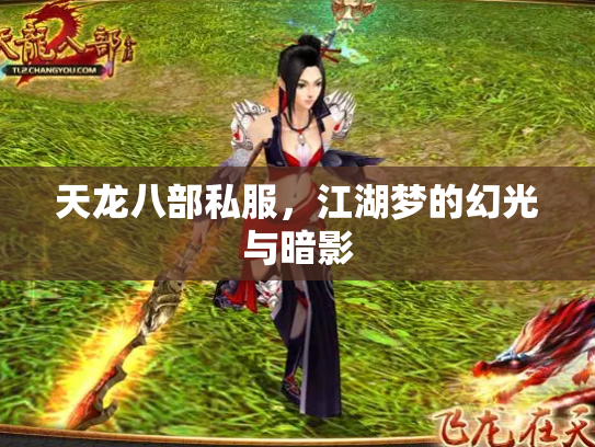 天龙八部私服，江湖梦的幻光与暗影