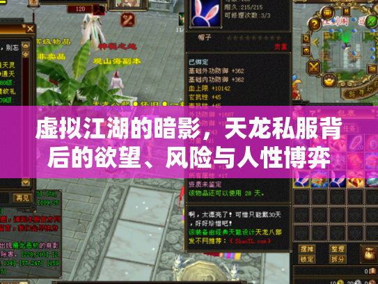 虚拟江湖的暗影，天龙私服背后的欲望、风险与人性博弈