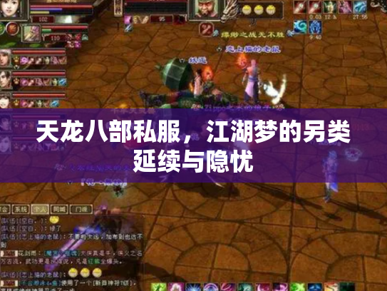 天龙八部私服，江湖梦的另类延续与隐忧