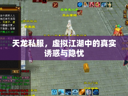 天龙私服，虚拟江湖中的真实诱惑与隐忧