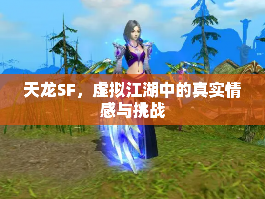 天龙SF，虚拟江湖中的真实情感与挑战