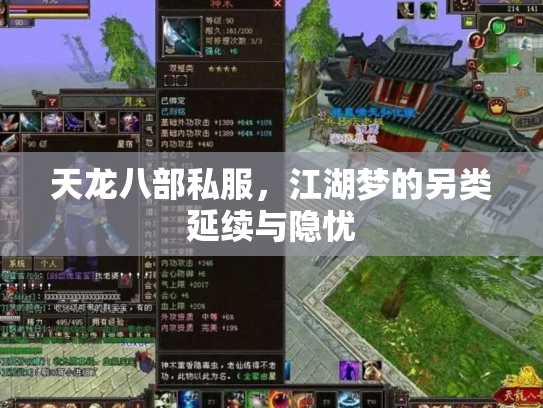 天龙八部私服，江湖梦的另类延续与隐忧