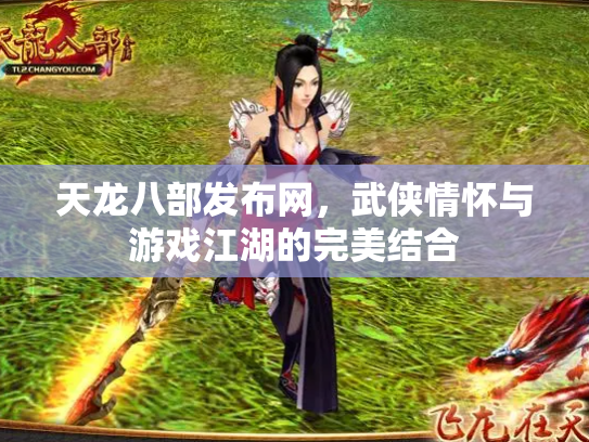 天龙八部发布网，武侠情怀与游戏江湖的完美结合