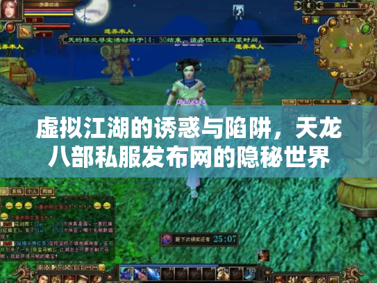 虚拟江湖的诱惑与陷阱，天龙八部私服发布网的隐秘世界