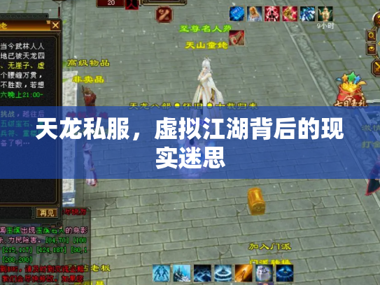 天龙私服，虚拟江湖背后的现实迷思