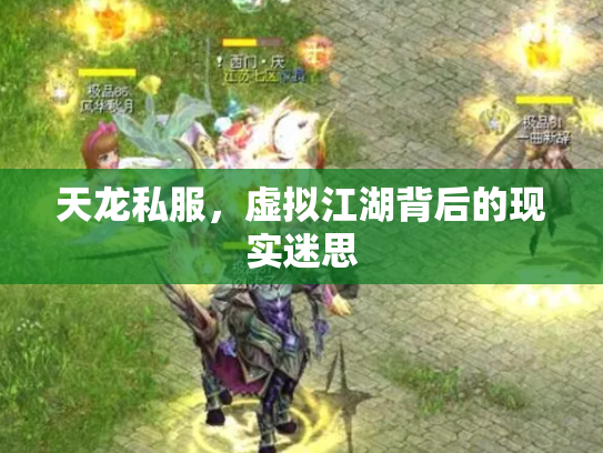 天龙私服，虚拟江湖背后的现实迷思