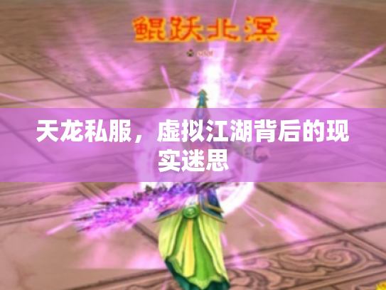 天龙私服，虚拟江湖背后的现实迷思