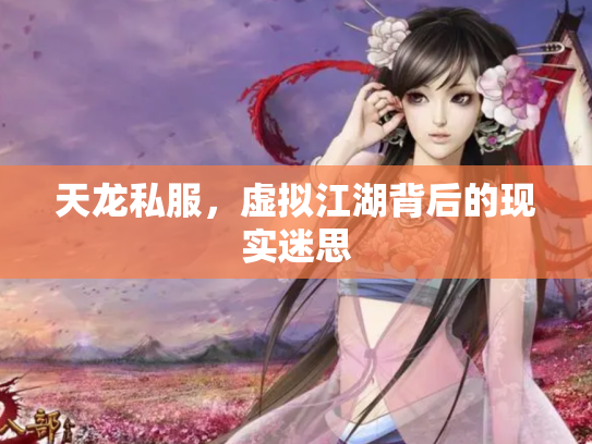 天龙私服，虚拟江湖背后的现实迷思
