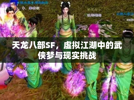 天龙八部SF，虚拟江湖中的武侠梦与现实挑战