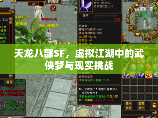 天龙八部SF，虚拟江湖中的武侠梦与现实挑战