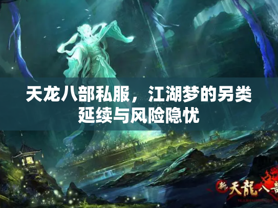 天龙八部私服，江湖梦的另类延续与风险隐忧
