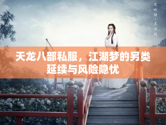 天龙八部私服，江湖梦的另类延续与风险隐忧