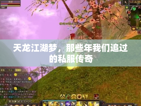 天龙江湖梦，那些年我们追过的私服传奇