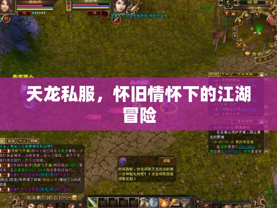 天龙私服，怀旧情怀下的江湖冒险