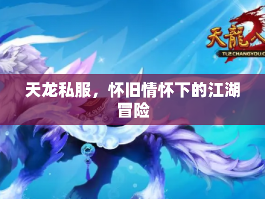 天龙私服，怀旧情怀下的江湖冒险