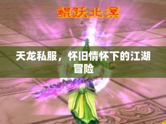 天龙私服，怀旧情怀下的江湖冒险
