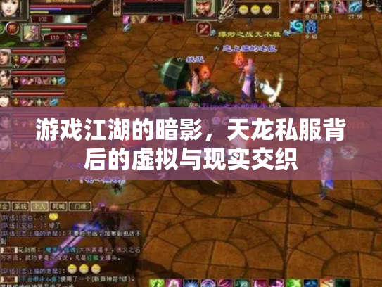 游戏江湖的暗影，天龙私服背后的虚拟与现实交织