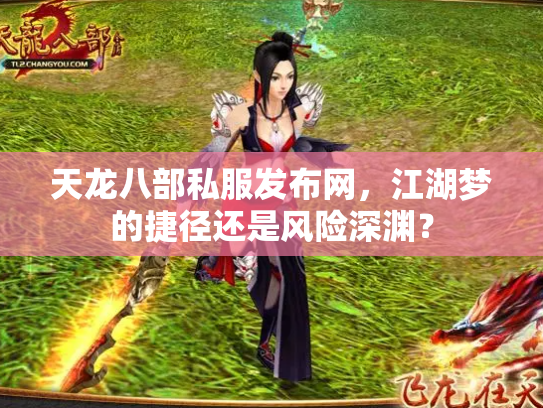 天龙八部私服发布网，江湖梦的捷径还是风险深渊？