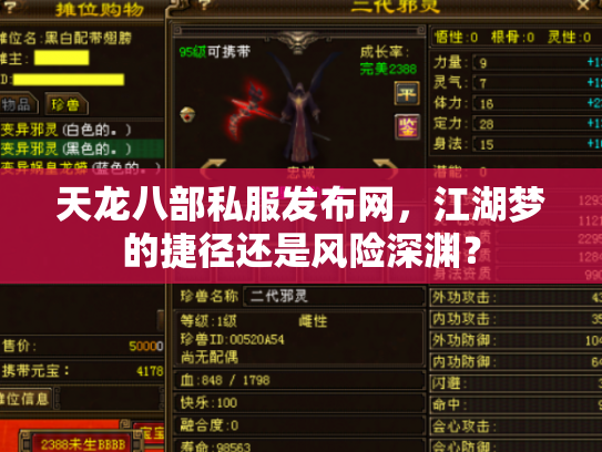 天龙八部私服发布网，江湖梦的捷径还是风险深渊？