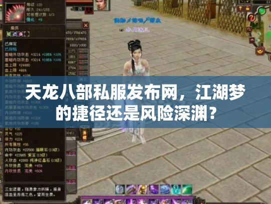 天龙八部私服发布网，江湖梦的捷径还是风险深渊？