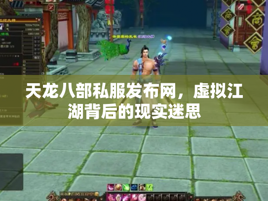 天龙八部私服发布网，虚拟江湖背后的现实迷思