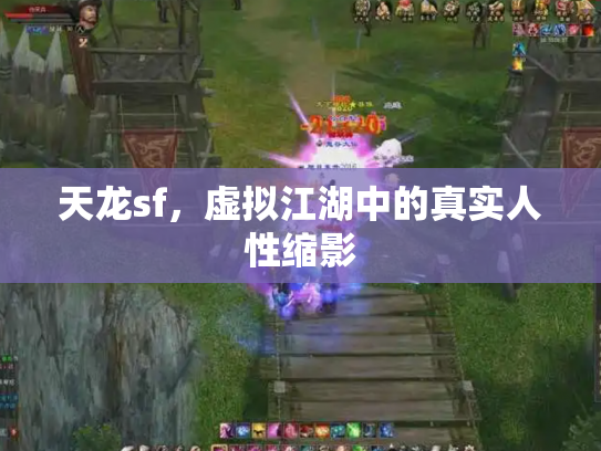 天龙sf，虚拟江湖中的真实人性缩影