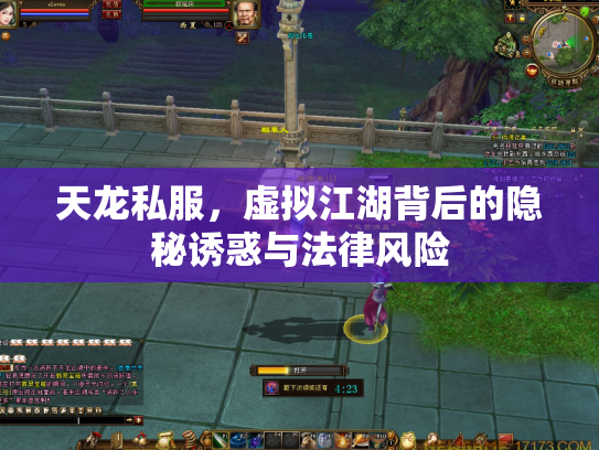 天龙私服，虚拟江湖背后的隐秘诱惑与法律风险