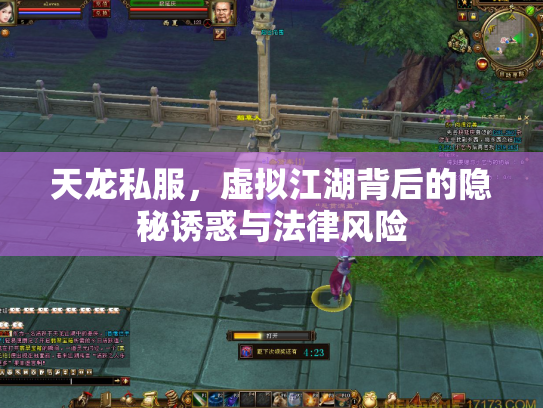 天龙私服，虚拟江湖背后的隐秘诱惑与法律风险
